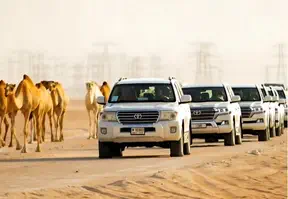 A convoy of camels and vehicles traversing the vast desert landscape.